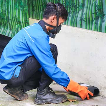 jasa pengusir tikus surakarta