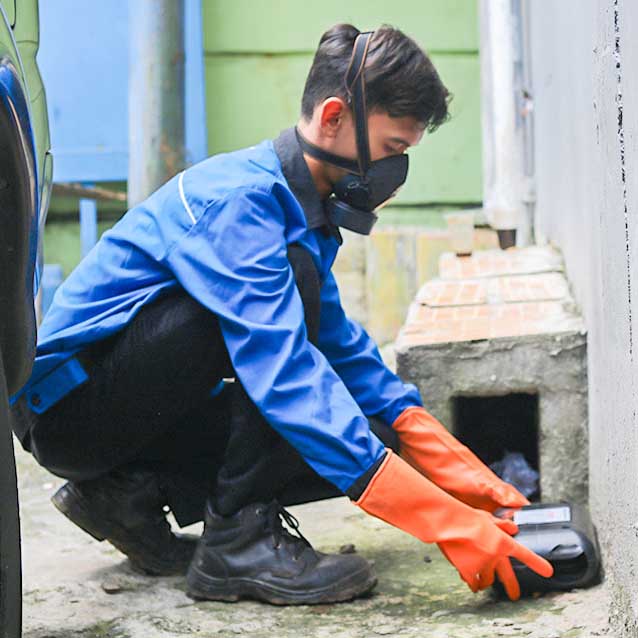 perusahaan pest control