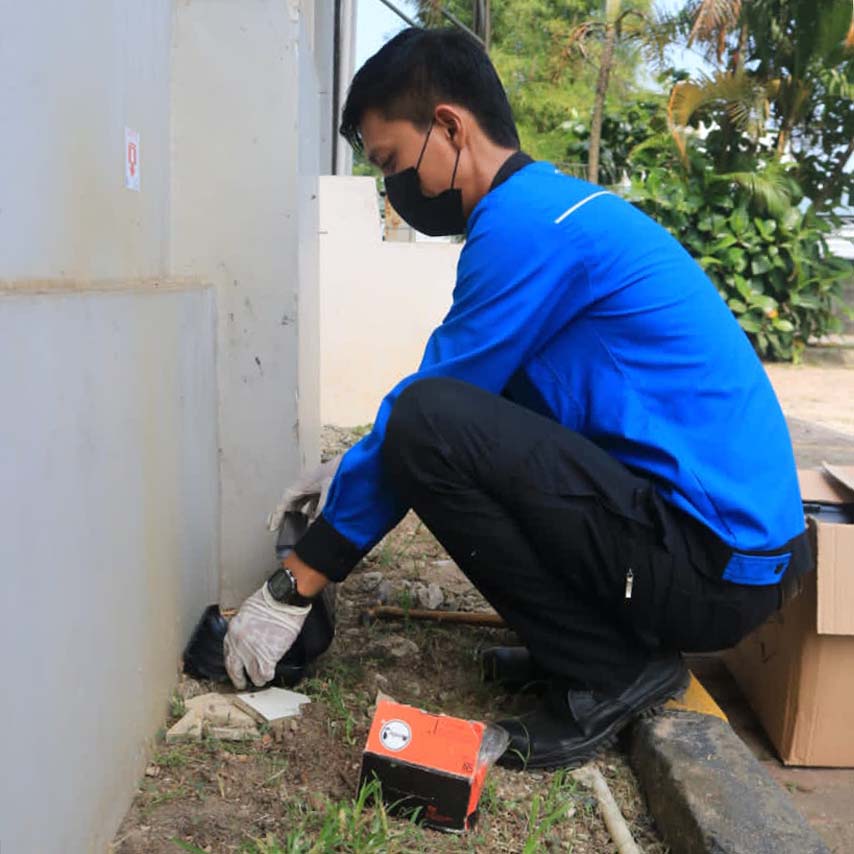 jasa pengendalian hama