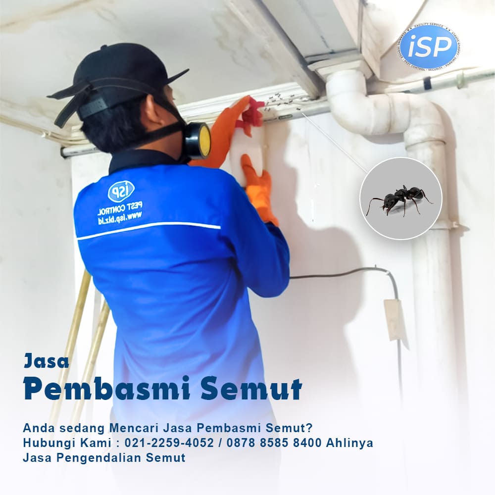 usir semut dari rumah