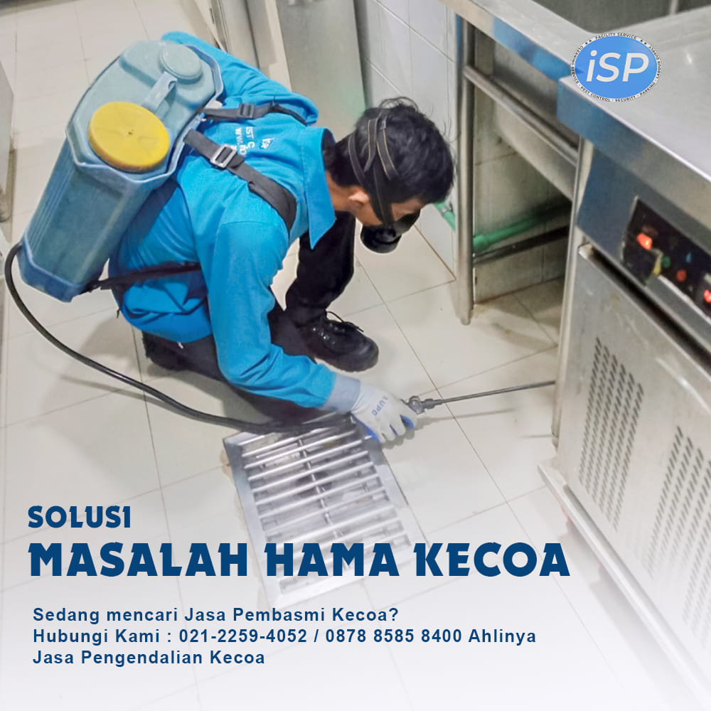 basmi kecoa