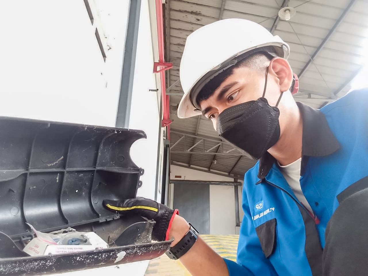 jasa pembasmi tikus solo