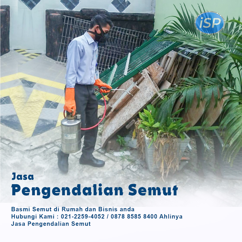 jasa pengendalian hama di solo
