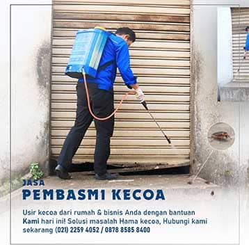 jasa pengendalian hama kecoa di solo