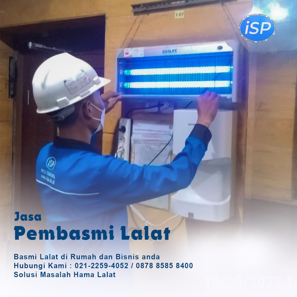 jasa pengendalian lalat solo