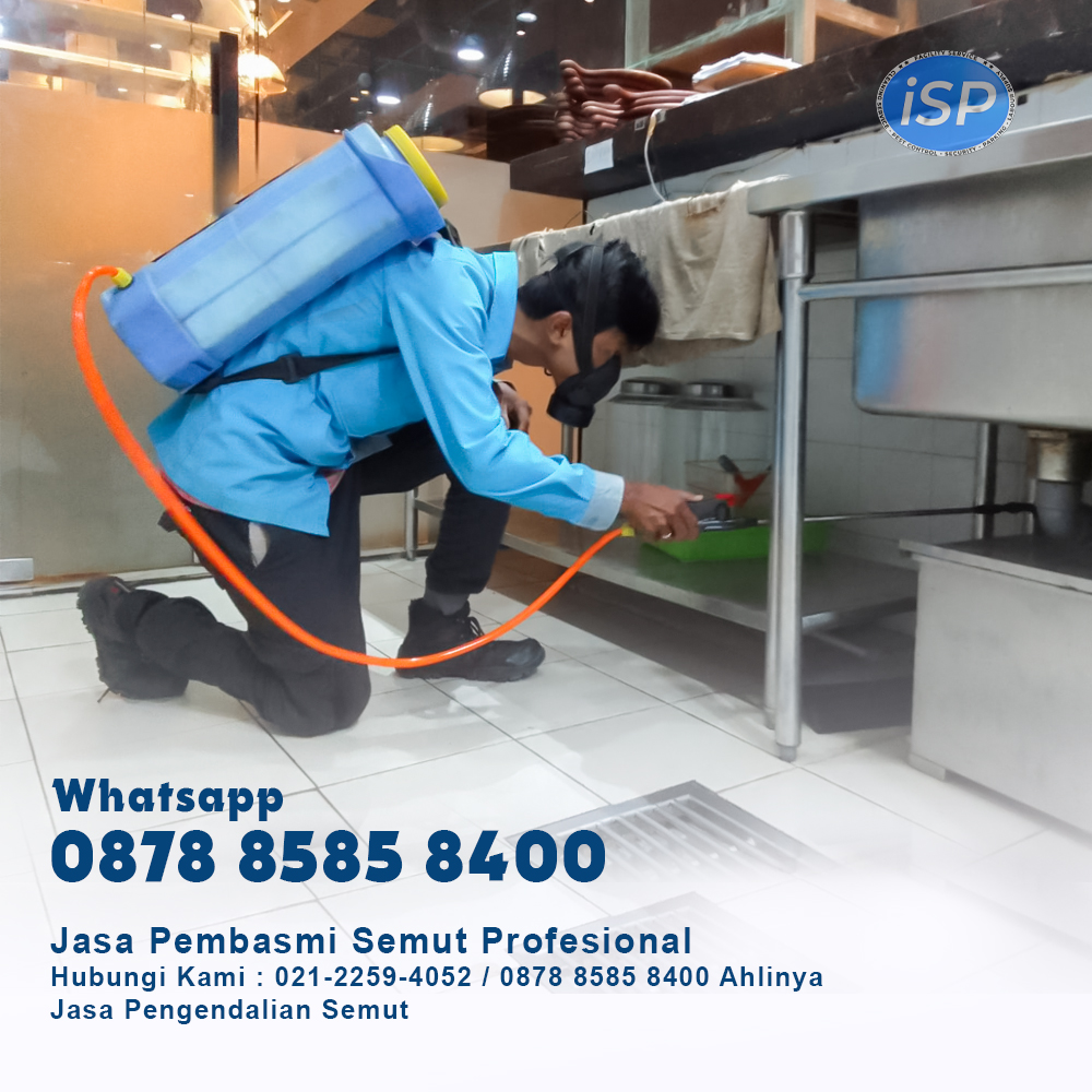 jasa pengendalian semut