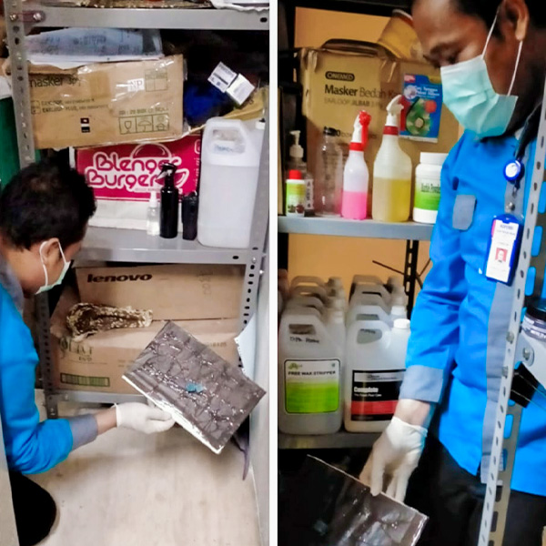 jasa pengendalian tikus di boyolali