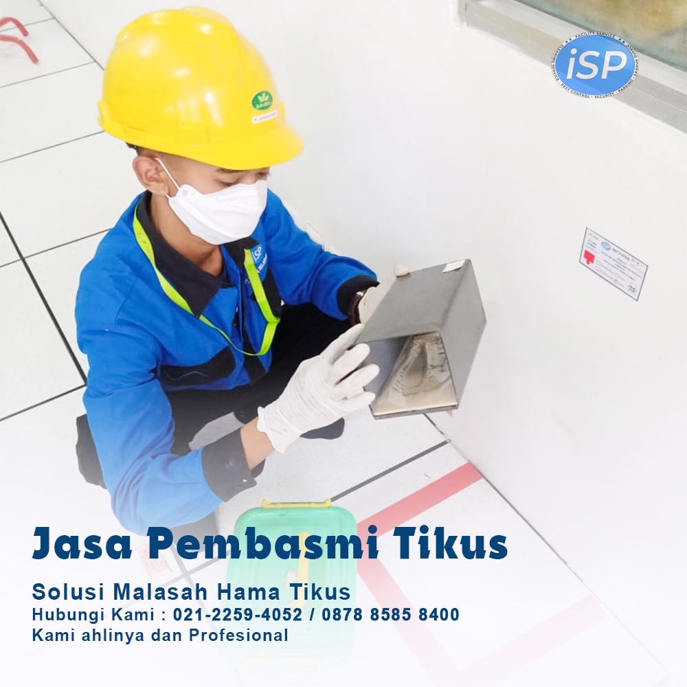 jasa pest control di boyolali