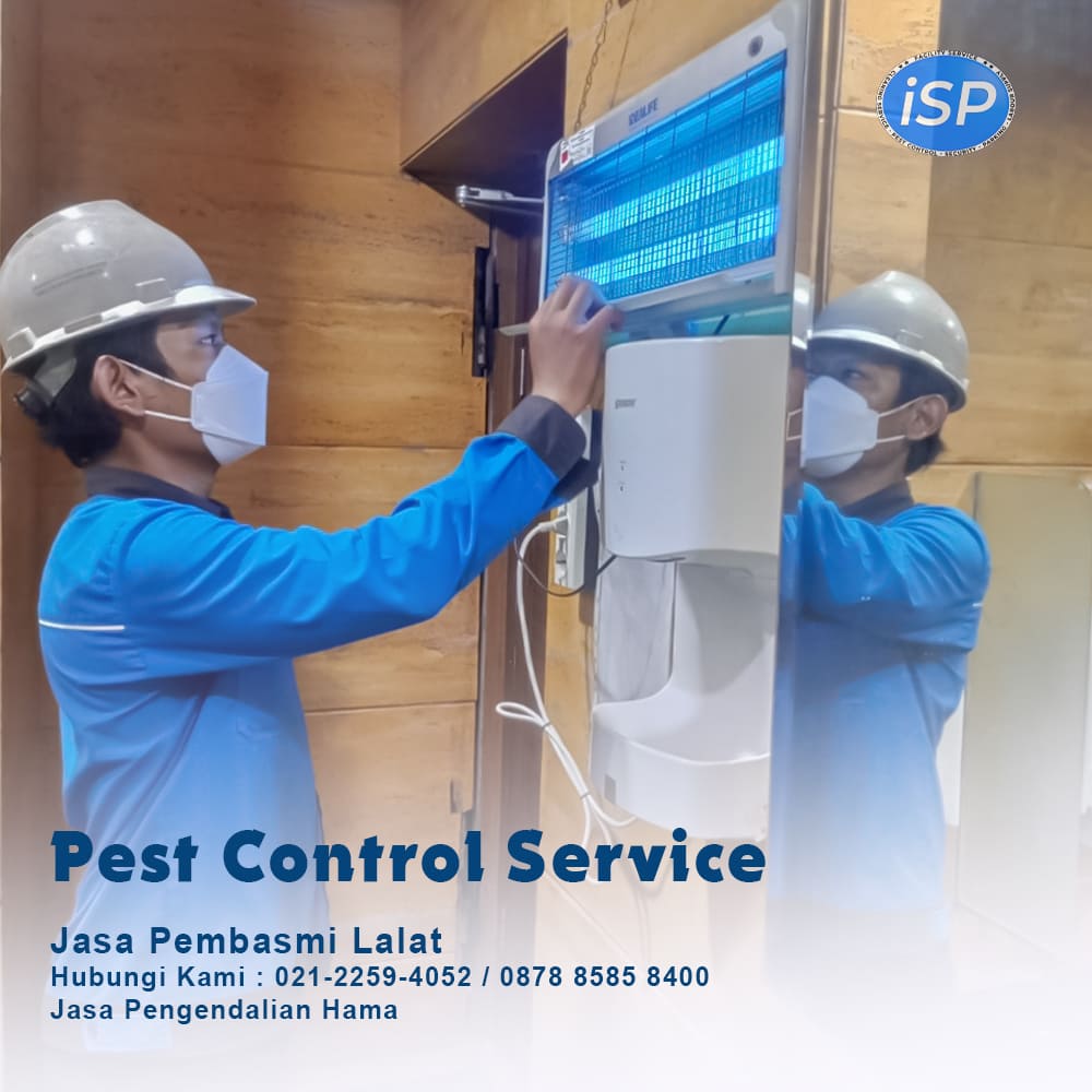 jasa pest control lalat