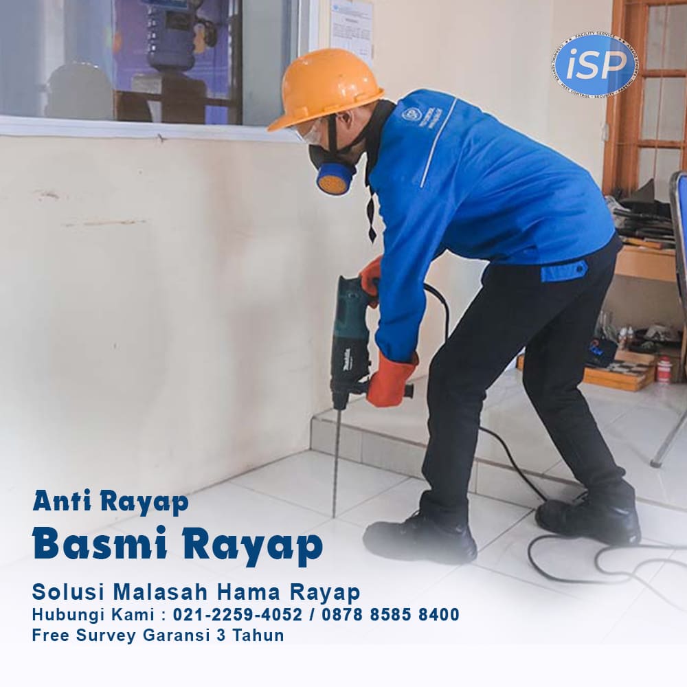 jasa suntik rayap di Surakarta