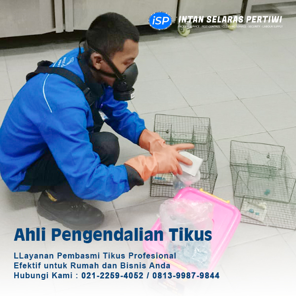 jasa pengendalian tikus di jakarta