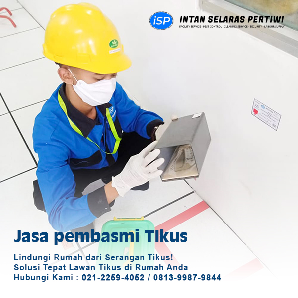jasa pest control di jakarta