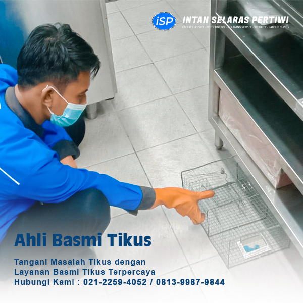 perusahaan Pest Control di Jakarta