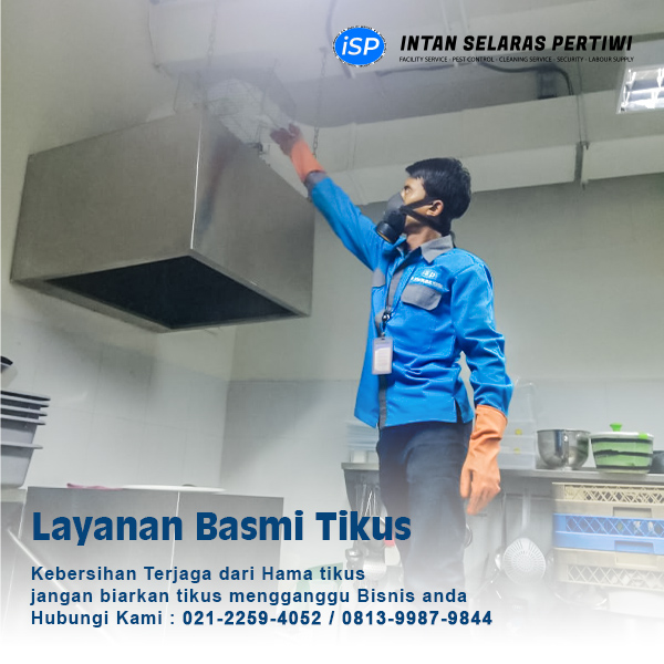 pest control tikus