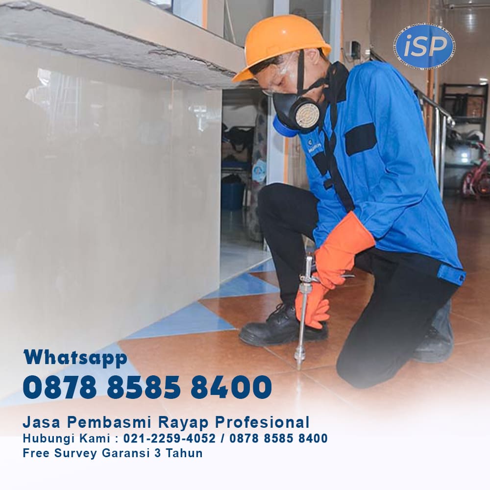 termite control